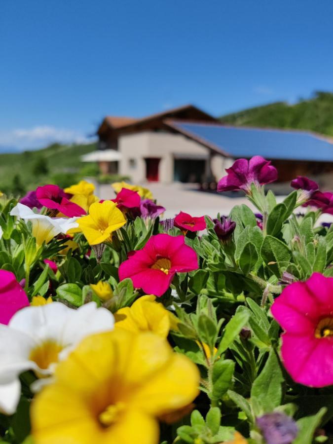 Vila Bio Agritur Al Bait Spormaggiore Exteriér fotografie